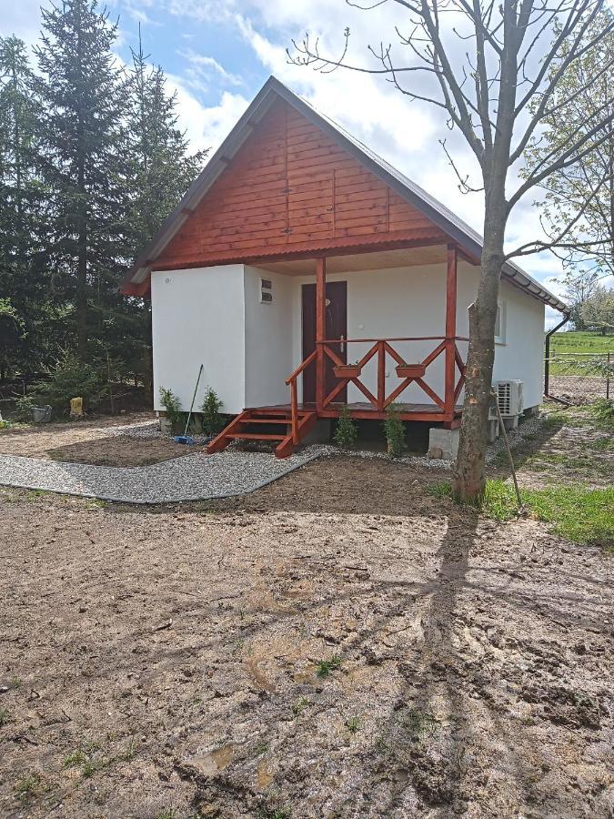 Agroturystyka Pod Sniezna Bystrzyca Kłodzka Exteriér fotografie