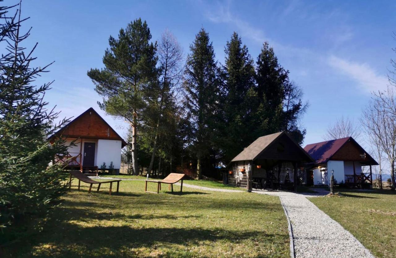 Agroturystyka Pod Sniezna Bystrzyca Kłodzka Exteriér fotografie