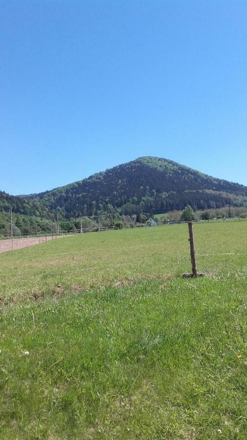 Agroturystyka Pod Sniezna Bystrzyca Kłodzka Exteriér fotografie