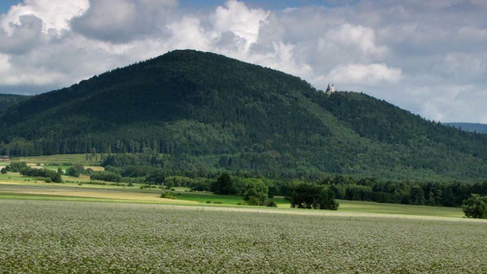 Agroturystyka Pod Sniezna Bystrzyca Kłodzka Exteriér fotografie